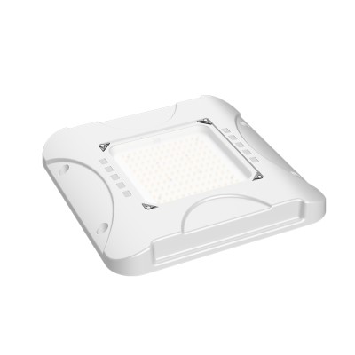 LED Canopy Light CAN770picture6