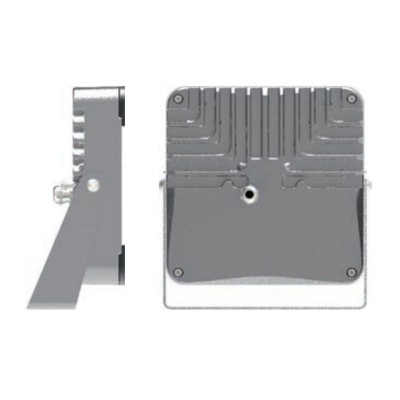 LED Flood Light FL820picture2