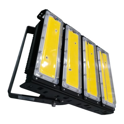 LED Tunnel Light TUN640picture2