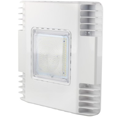 LED Canopy Light CAN780picture3
