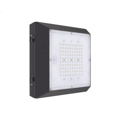 LED Canopy Light CAN660picture2