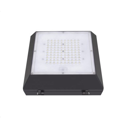 LED Canopy Light CAN660picture3