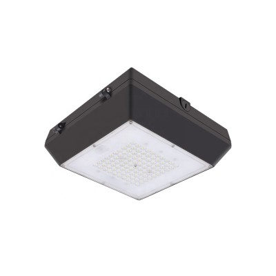 LED Canopy Light CAN660picture4