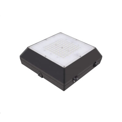 LED Canopy Light CAN660picture5