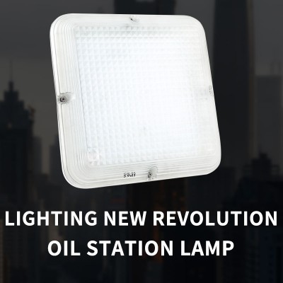 LED Canopy Light CAN650picture2