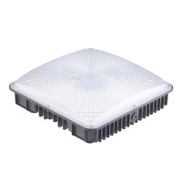 LED Canopy Light CAN490