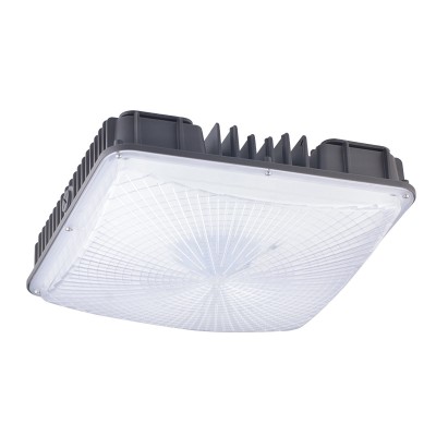 LED Canopy Light CAN490picture2