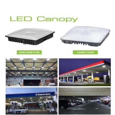 LED Canopy Light CAN490picture3