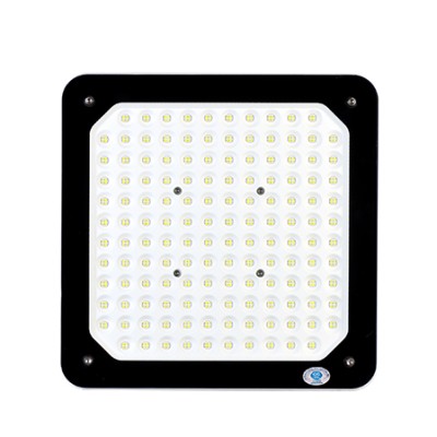 LED Explosion Proof Light EXP500picture2