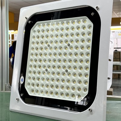 LED Explosion Proof Light EXP500picture4