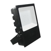 LED Flood Light FL1120