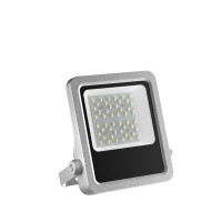 LED Flood Light FL1130