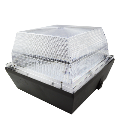 LED Canopy Light CAN610picture2
