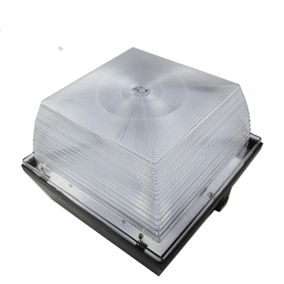 LED Canopy Light CAN610picture3