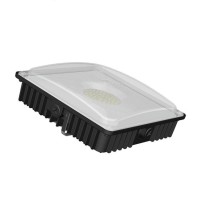LED Canopy Light CAN690