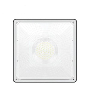 LED Canopy Light CAN690picture2