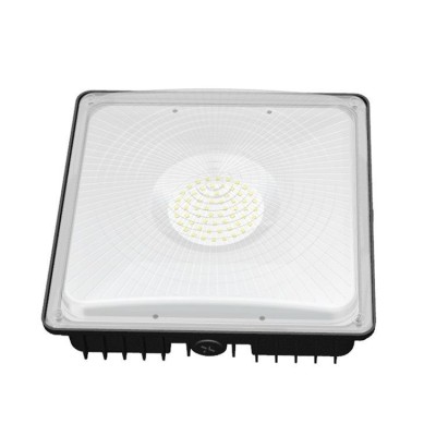 LED Canopy Light CAN690picture3