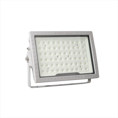 LED Explosion Proof Light EXP600picture4