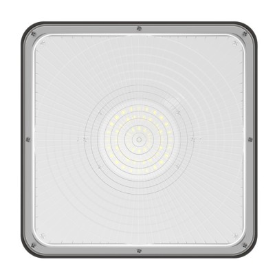 LED Canopy Light CAN700picture5