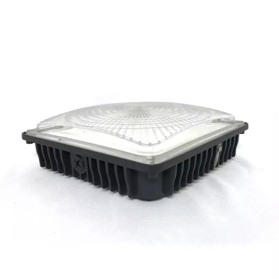 LED Canopy Light CAN640picture1