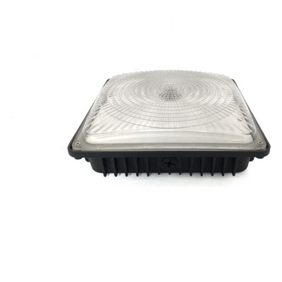 LED Canopy Light CAN640picture2