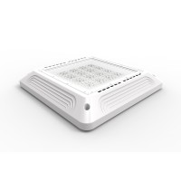LED Canopy Light CAN600