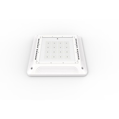 LED Canopy Light CAN600picture2