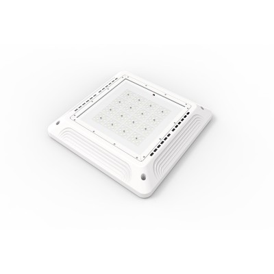 LED Canopy Light CAN600picture3