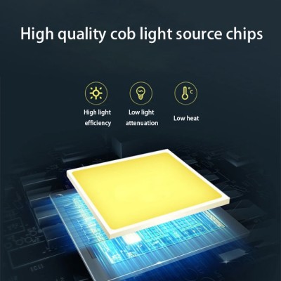 LED Flood Light FL1210picture3