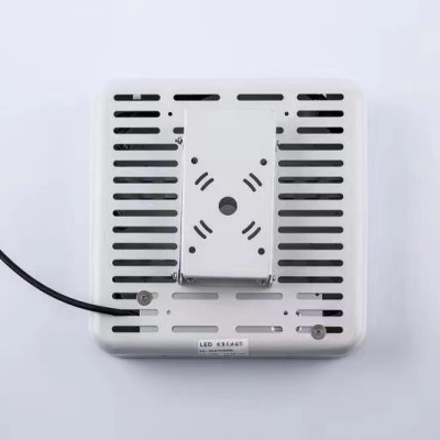 LED Canopy Light CAN620picture2