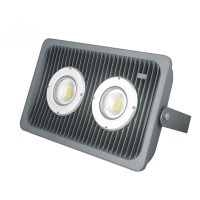 LED Flood Light FL710