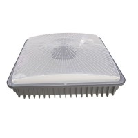 LED Canopy Light CAN730
