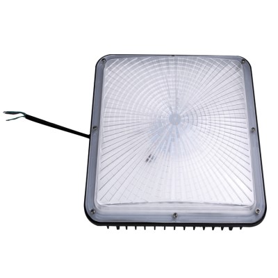 LED Canopy Light CAN730picture2