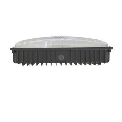 LED Canopy Light CAN730picture4