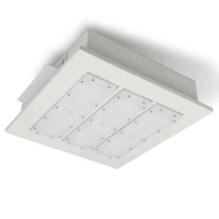 LED Canopy Light CAN390