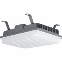 LED Canopy Light CAN380