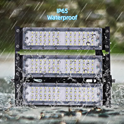 LED Tunnel Light TUN150picture4