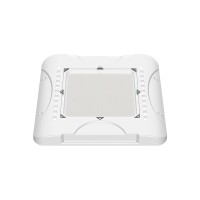 LED Canopy Light CAN370