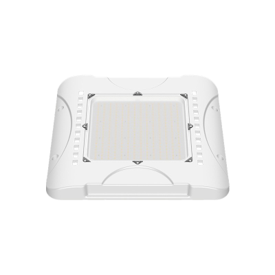 LED Canopy Light CAN370picture3