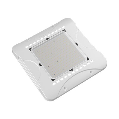 LED Canopy Light CAN370picture5