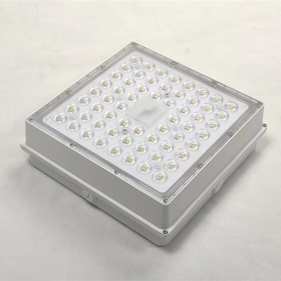 LED Canopy Light CAN360picture2