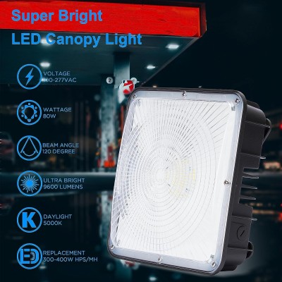 LED Canopy Light CAN500picture5
