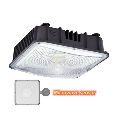 LED Canopy Light CAN500picture6