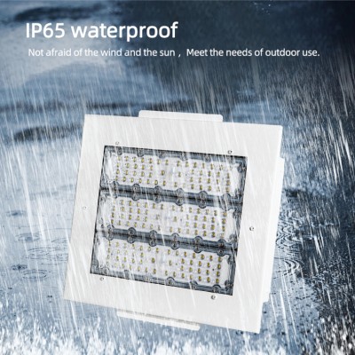 LED Canopy Light CAN400picture3