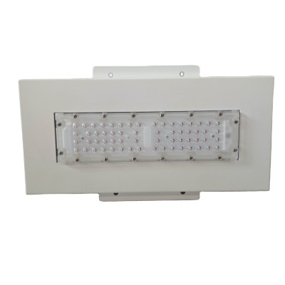 LED Canopy Light CAN510picture2