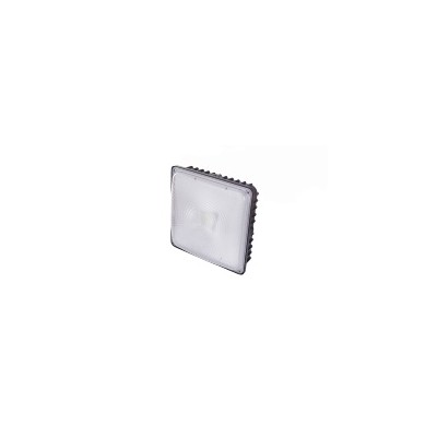 LED Canopy Light CAN520picture2