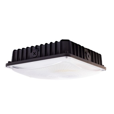 LED Canopy Light CAN520picture3