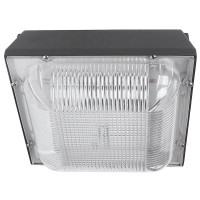 LED Canopy Light CAN410
