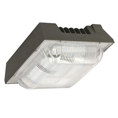LED Canopy Light CAN410picture2