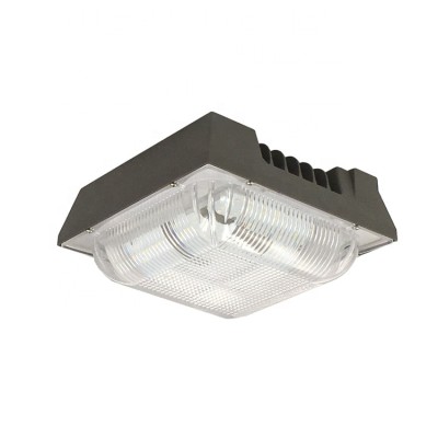 LED Canopy Light CAN410picture3